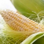 mısır püskülü ile zayıflama